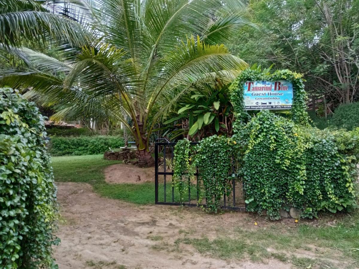 Tamarind Blue Tangalle Exterior photo