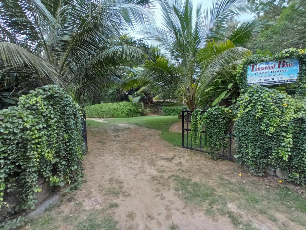 Tamarind Blue Tangalle Exterior photo
